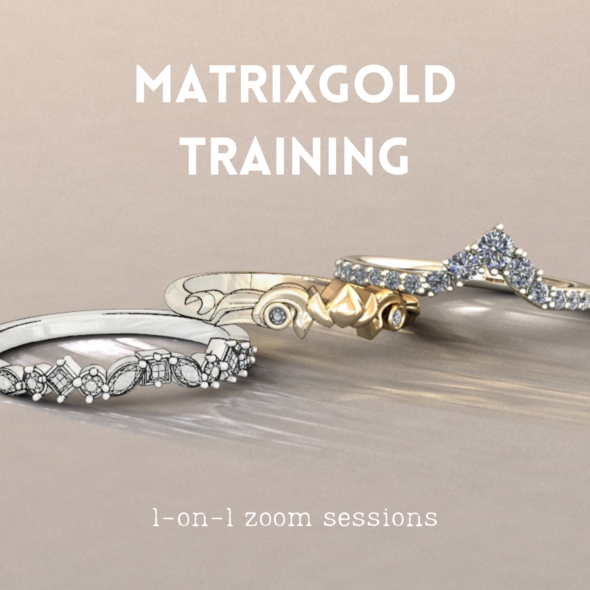 1-on-1 MatrixGold Training Sessions